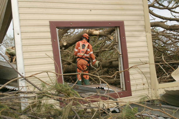 Reliable Carey, ID Tree Services Solutions